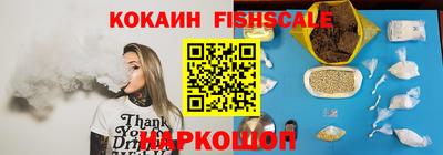 стаф Гай
