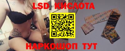шишки Гатчина