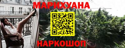 шишки Гатчина