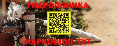 стаф Гай