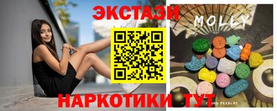 стаф Гай