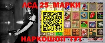 шишки Гатчина