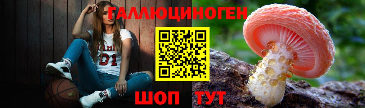 купить наркотики сайты  Вход с VPN  Галлюциногенные грибы Psilocybe  Наро-Фоминск  Псилоцибиновые грибы MAGIC MUSHROOMS 